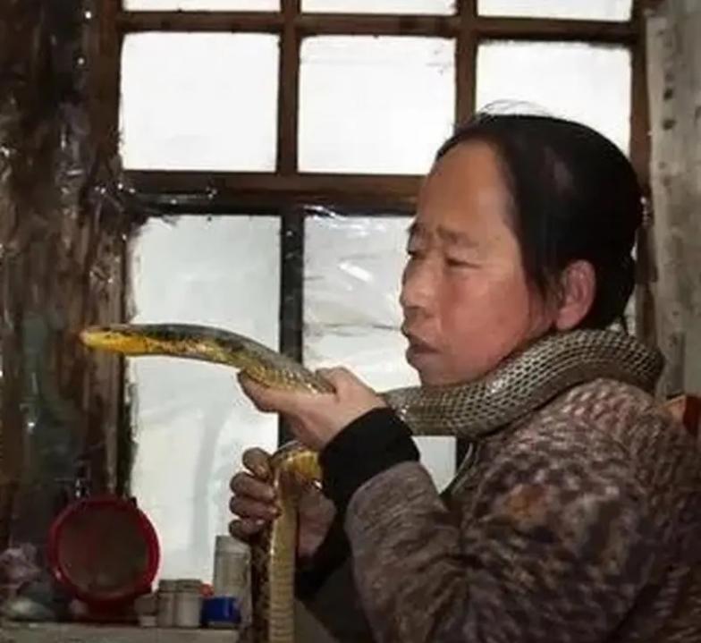 1995年，一名吉林农妇救了一条毒蛇，但屡次放生都以失败告终，毒蛇总能回到家门口