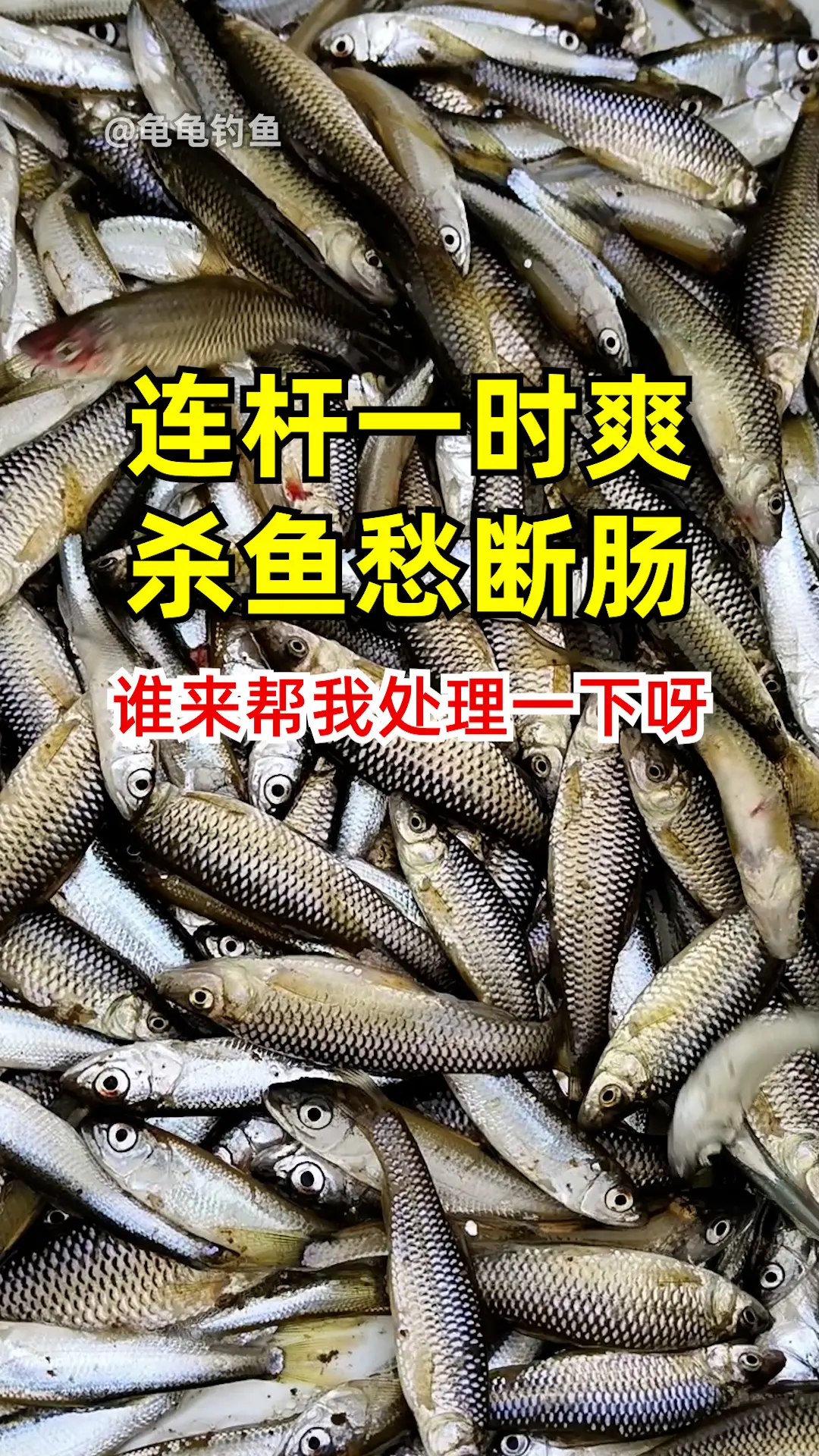 钓鱼的乐趣只有钓鱼人懂 春天总要出门钓一次鱼吧 钓鱼人 钓鱼技巧 野钓