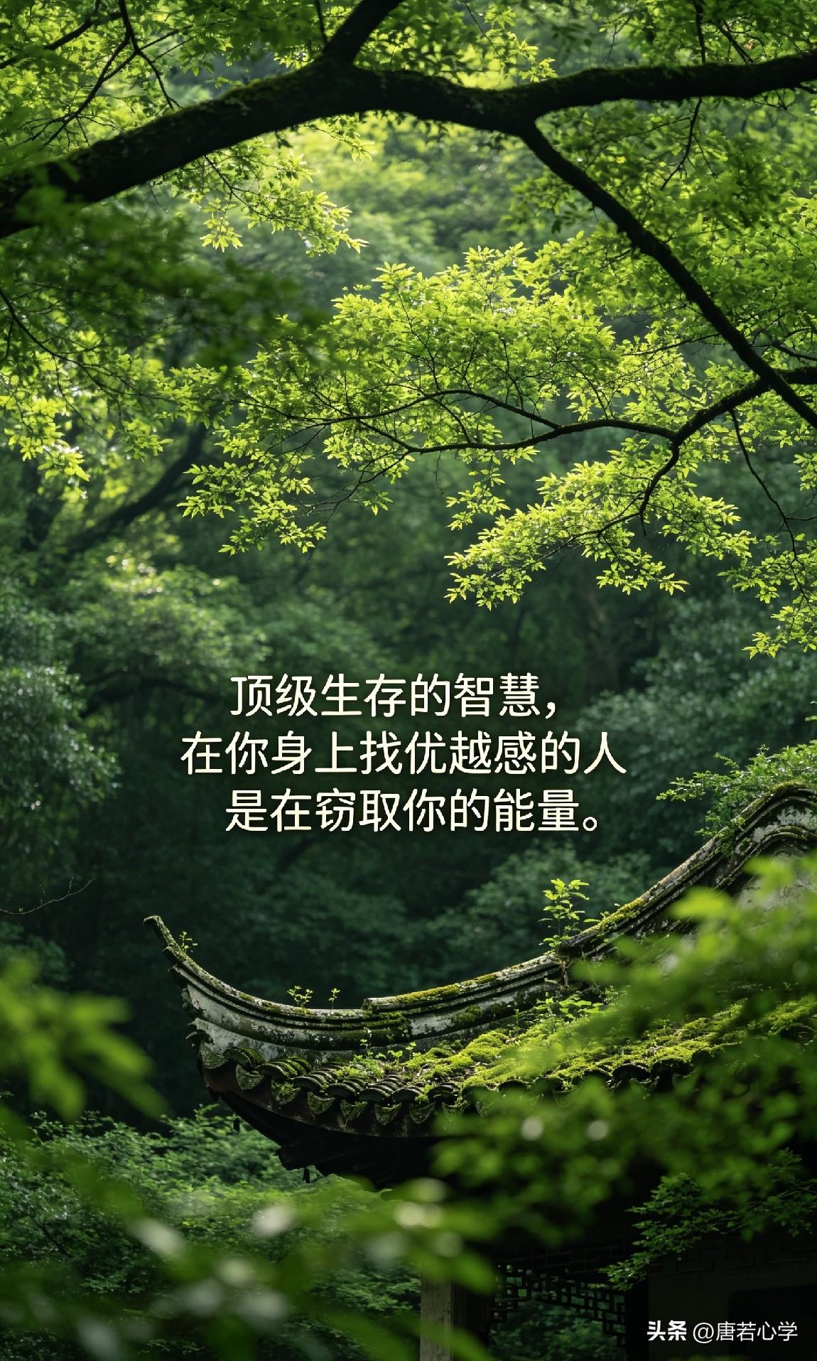 顶级生存的智慧，在你身上找优越感的人是在你的能量。

心理学家说，“判断一个人是