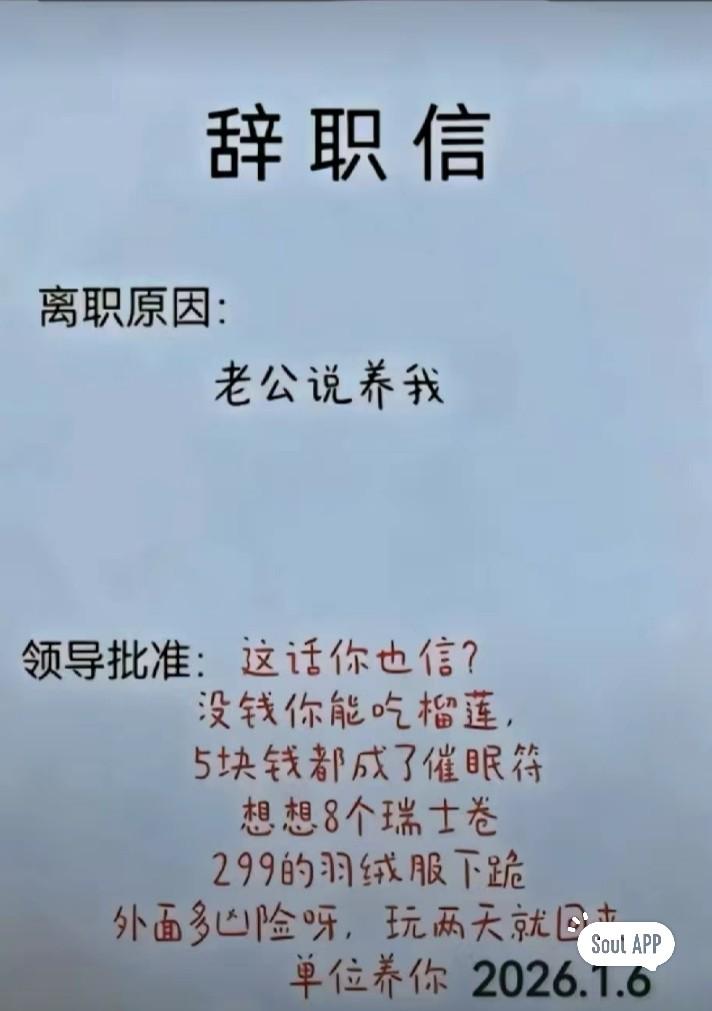 辞职信[捂脸][捂脸][捂脸]