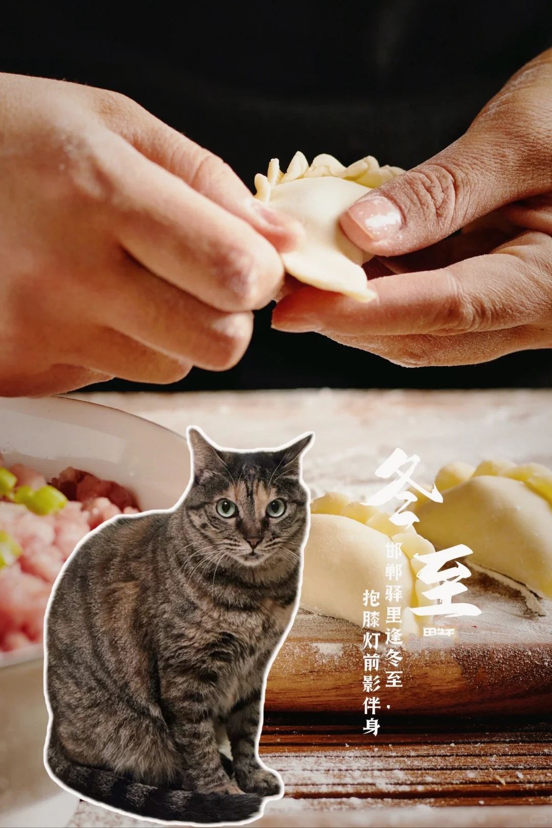 小猫咪们祝大家冬至快乐～今晚吃饺子还汤圆