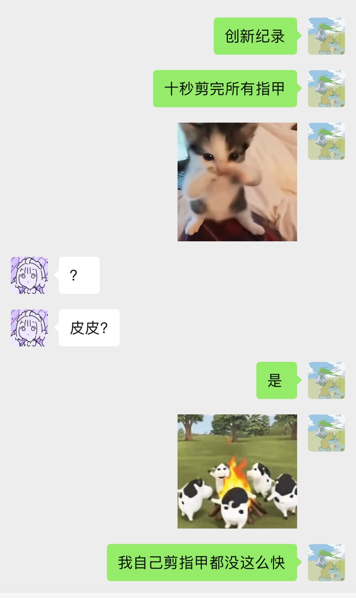 绝世好猫 