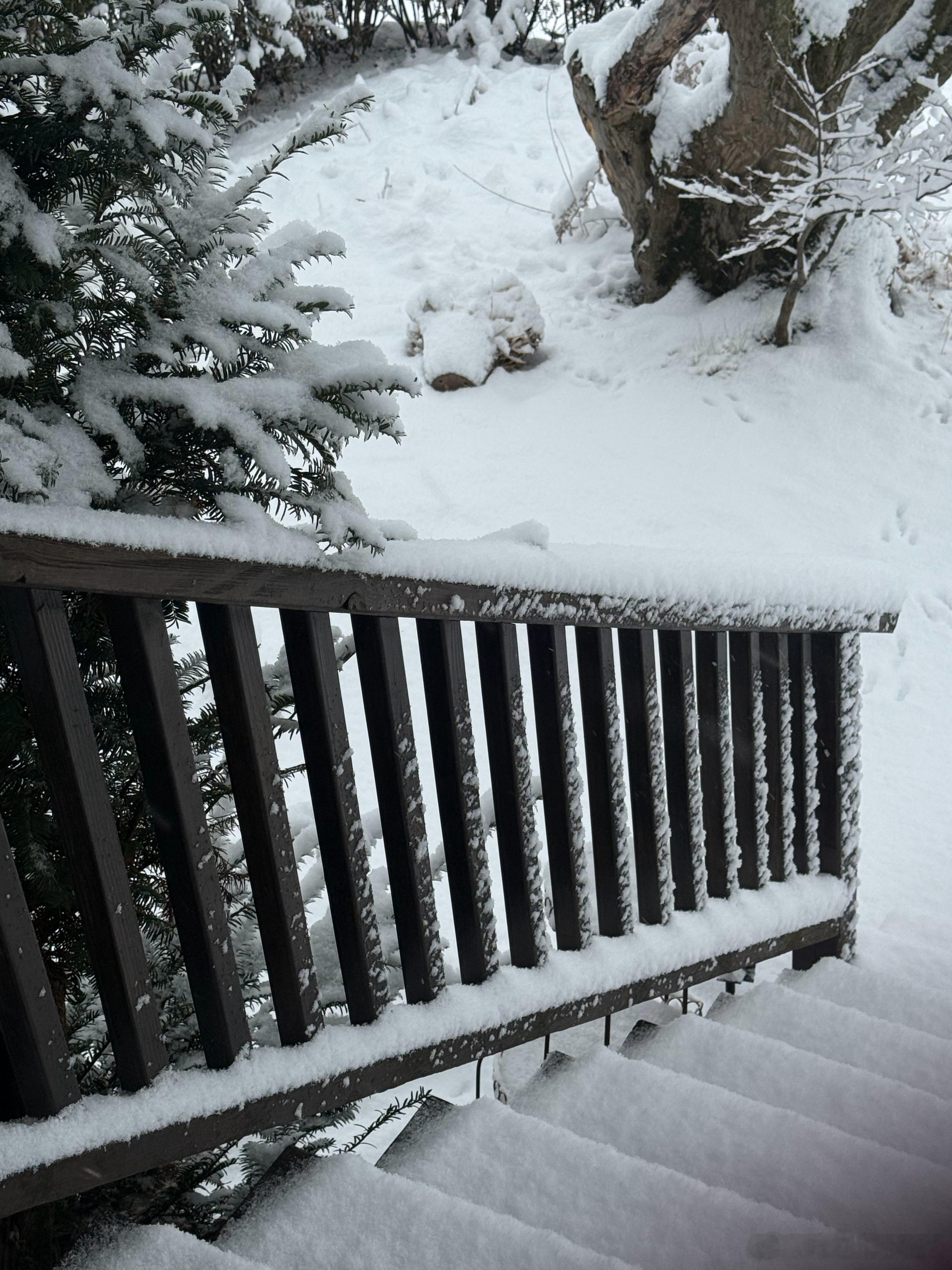 早上起床一开门，白雪茫茫。 