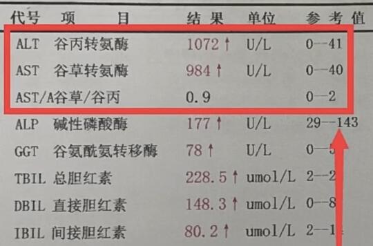 体检发现转氨酶高怎么办？