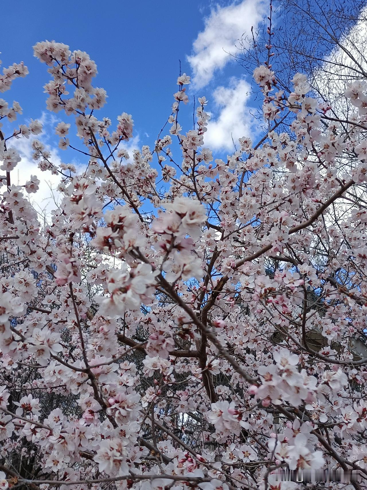 一个人真正的富有是什么？
到了一定的年龄你就会明白，不是银行卡里单调的数字，也不