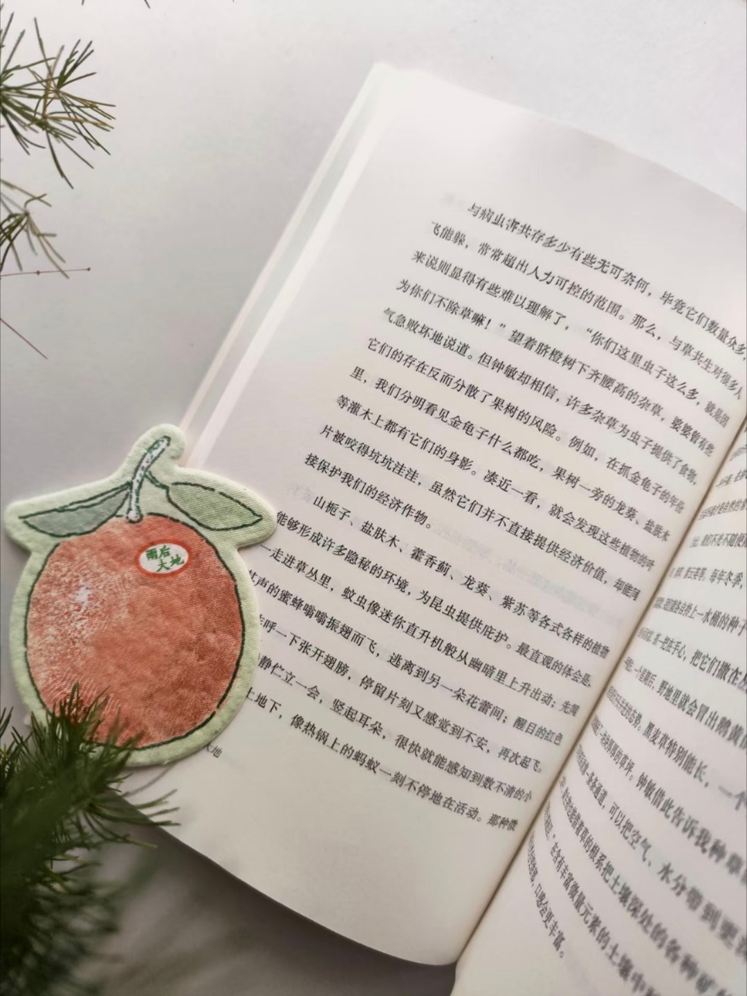 心安之处，才是吾乡！ 