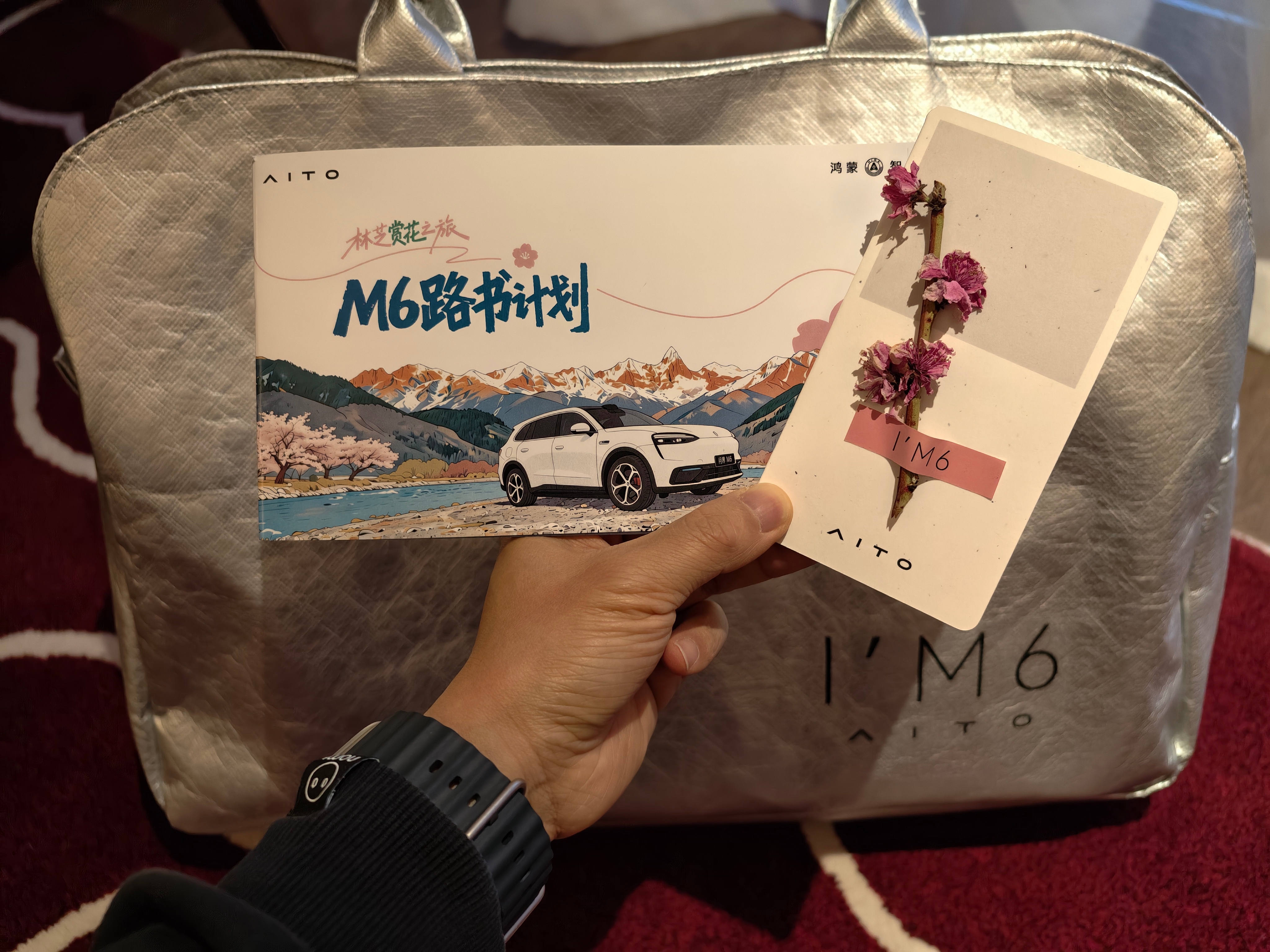 今天的安排～在美丽的林芝，体验感受 问界m6