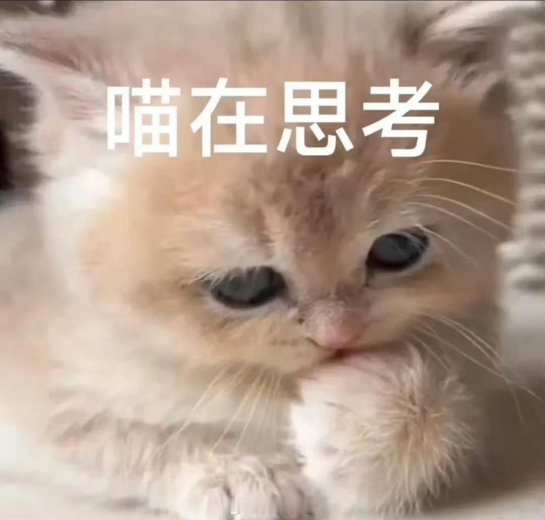 每次搭主页装扮都好纠结，穿什么色系好纠结，找头像也好纠结 