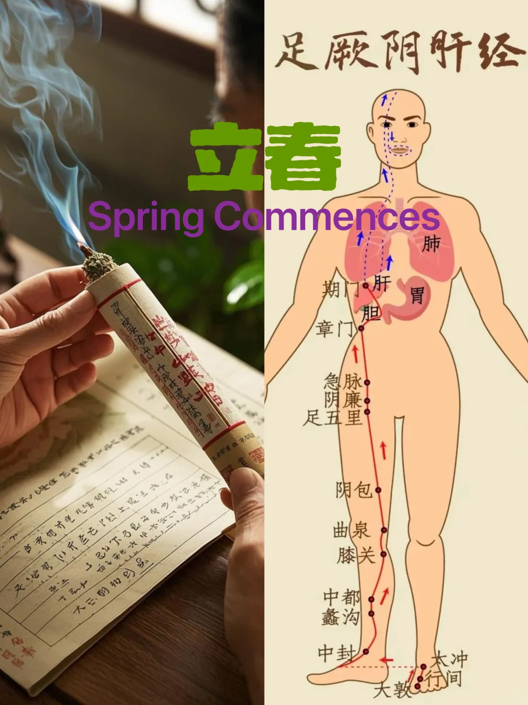 🔥《立春｜肝经觉醒の24小时》