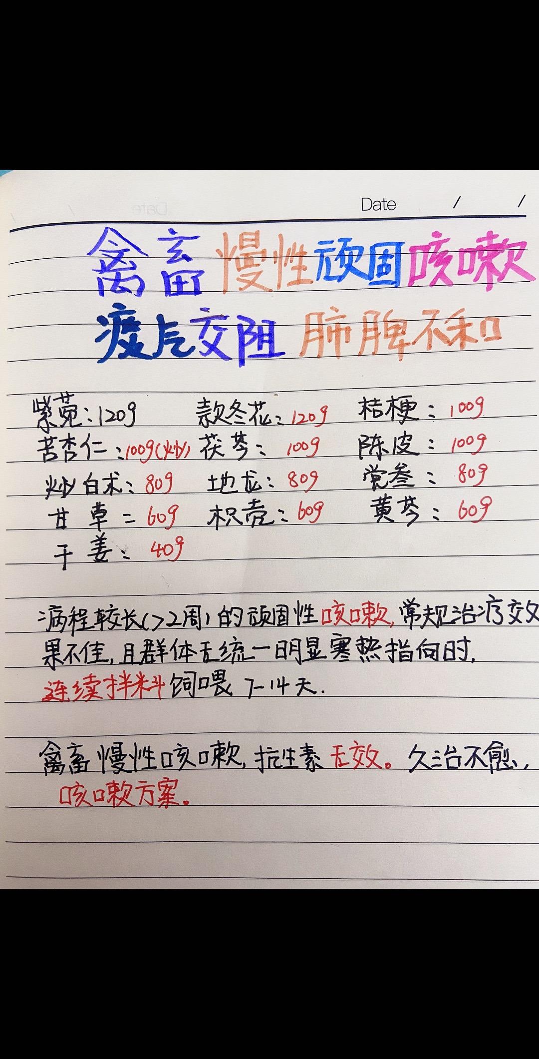慢性咳嗽，久治不愈，抗生素无校，林麝麝香林麝养殖 中兽医