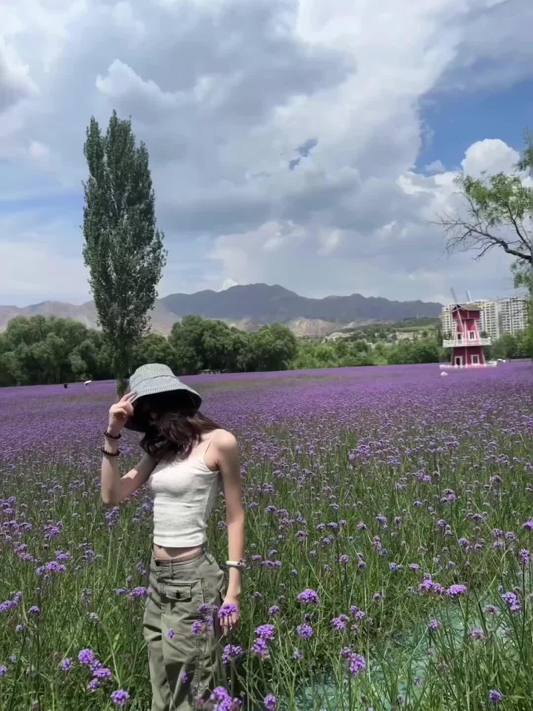 总有些话是不能提