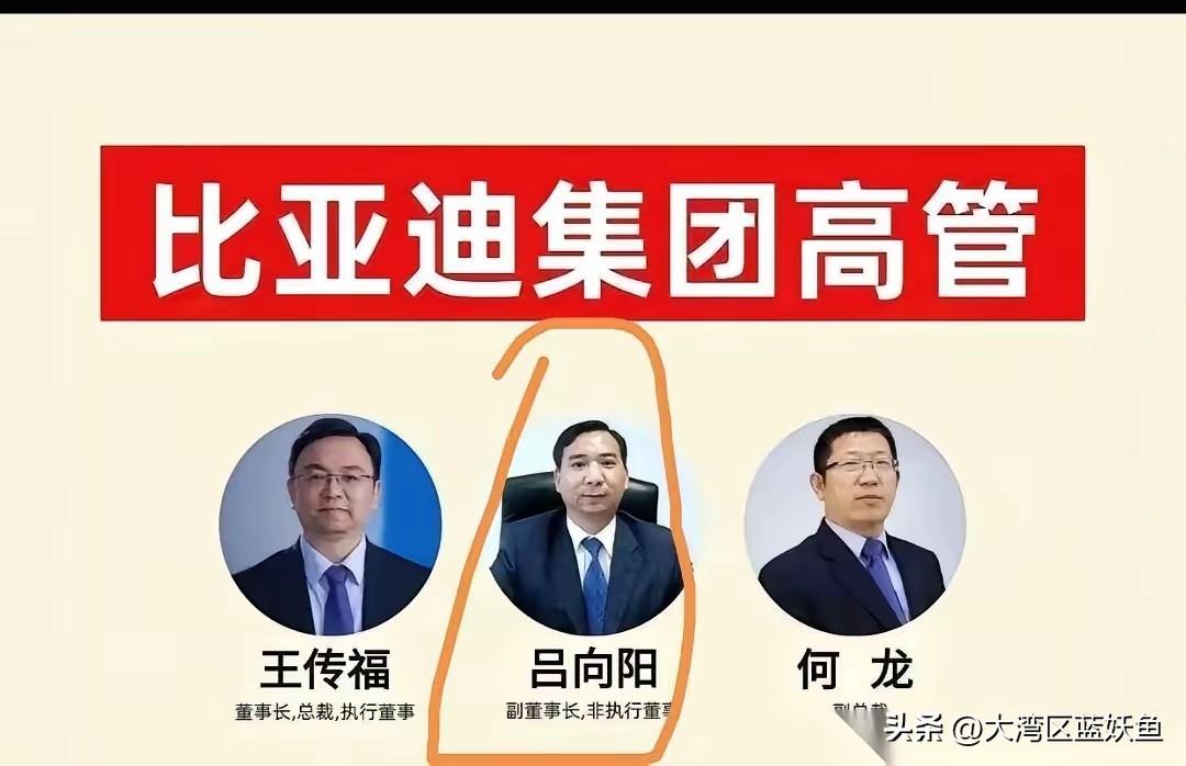 说个冷知识：比亚迪老板王传福去年光分红就揣走20亿，但真正的“幕后大佬”是他表哥