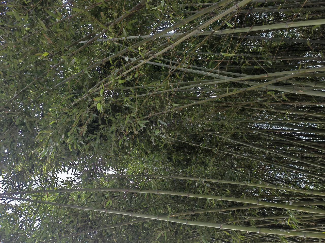 说杨广为了到江南游玩开凿大运河，是对杨广的“污蔑”。
为了玩就不会有耐心等，等到