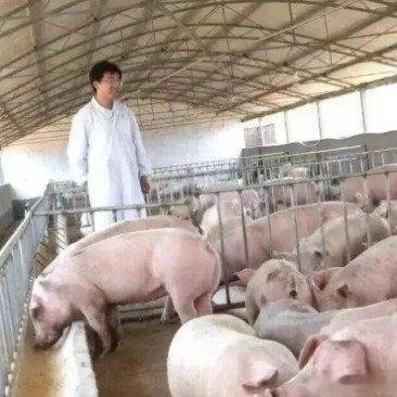 无罪释放后负债3000万国赔仅41万羁押712天无罪释放，企业家负债3000万，