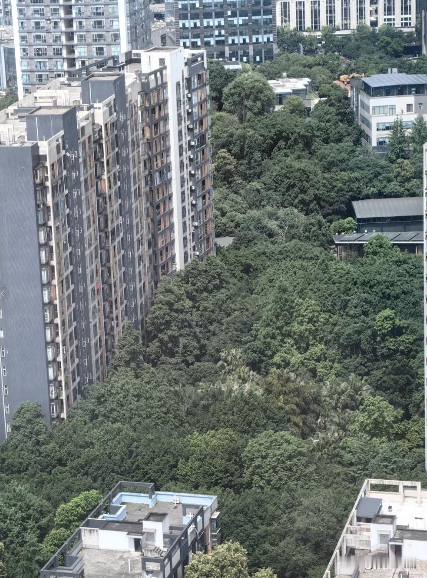 又看到一个外地网友在小红书上夸重庆了……

这次不是火锅，也不是夜景，居然是重庆