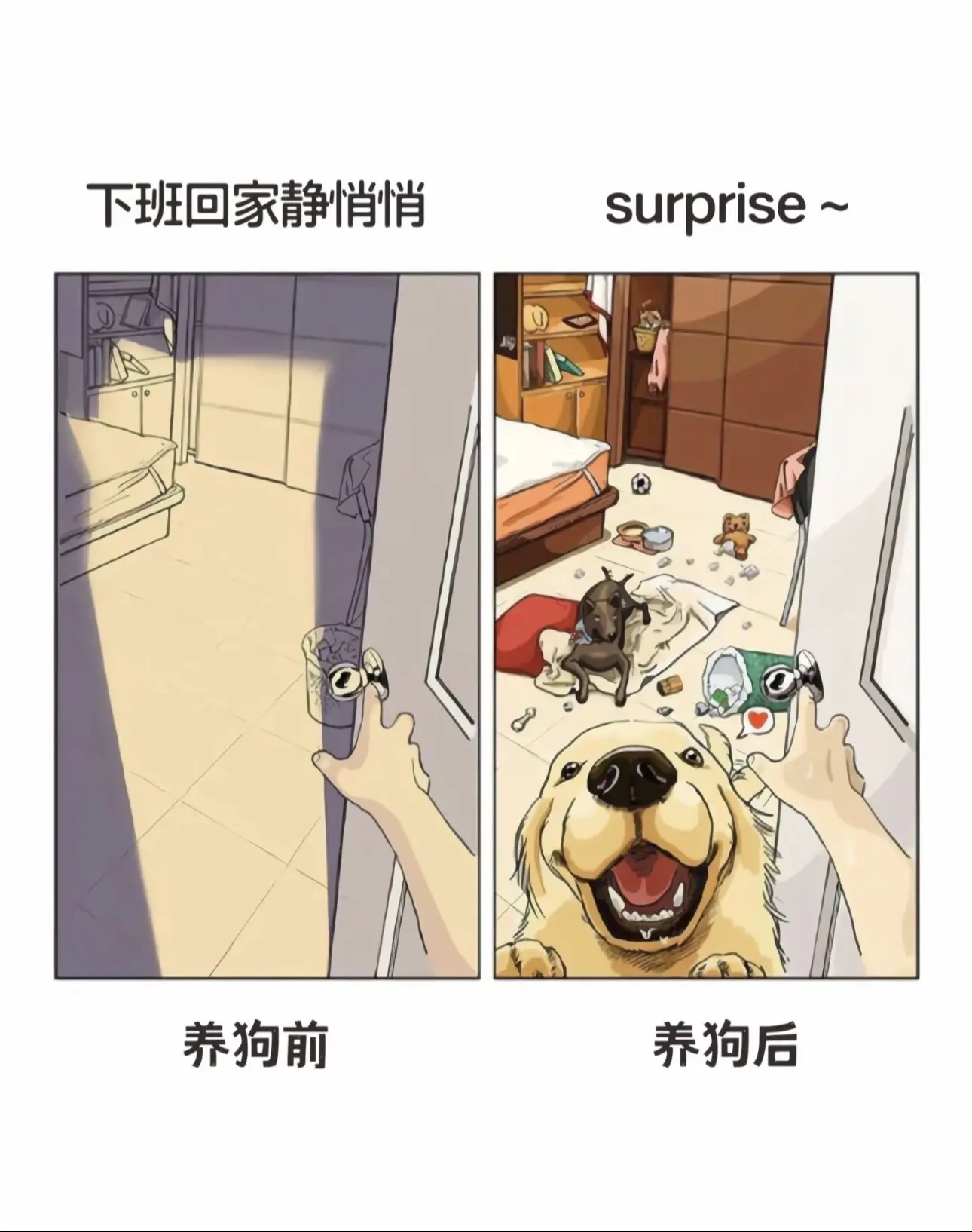 养狗的意义 养狗的人才懂这一刻的含金量