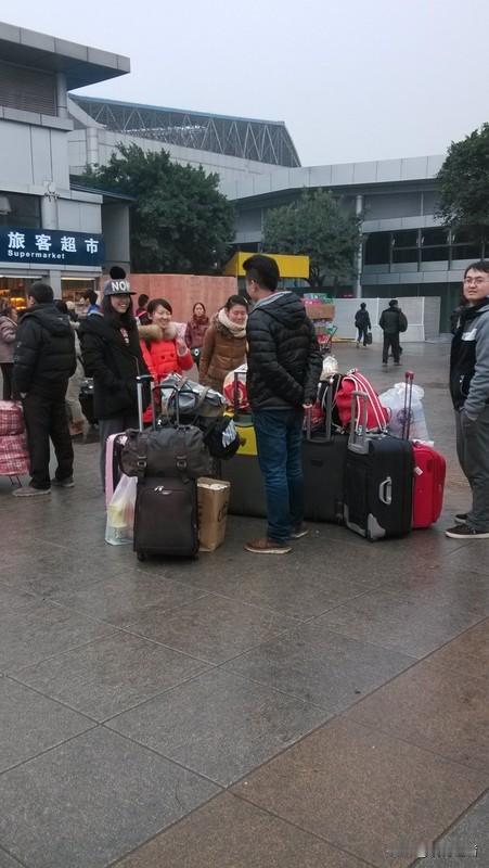 离别的车站挤满行色匆匆的身影，行李箱轮子碾过站台的声响格外清晰。母亲偷偷抹泪的侧