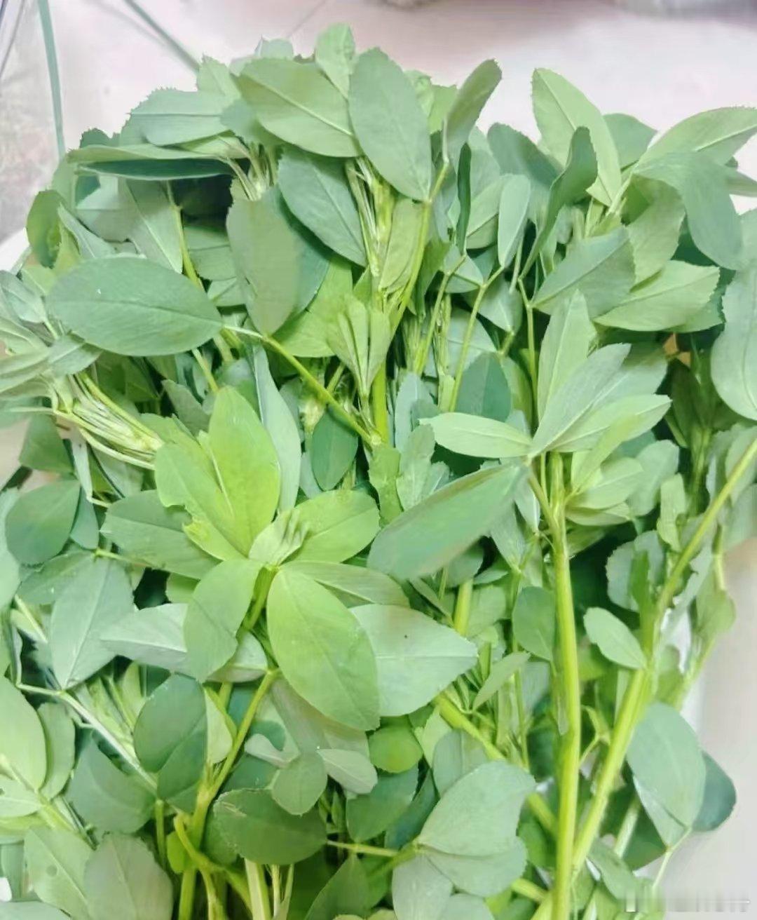 有人问我什么菜，知道他说绿化带