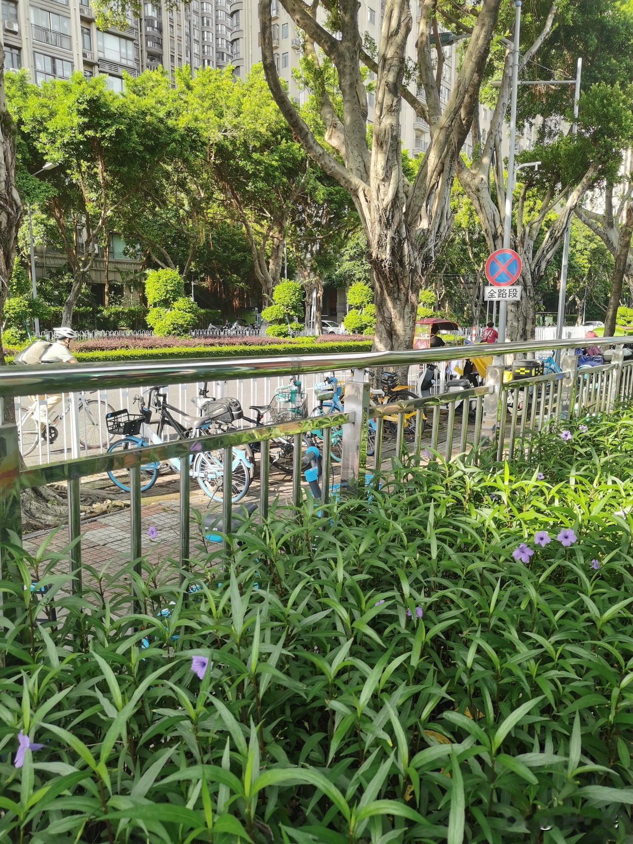 上联：秋雨无心敲落叶。
下联：春风有意剪柳枝。

春天还没来呢！大家说，春风是有