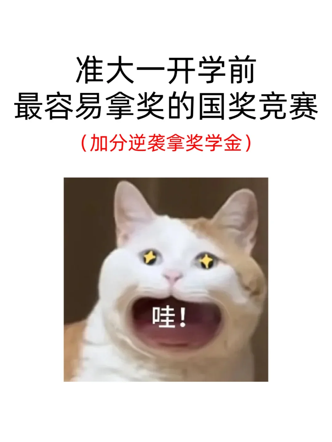 准大一开学前最容易拿奖的国奖竞赛！