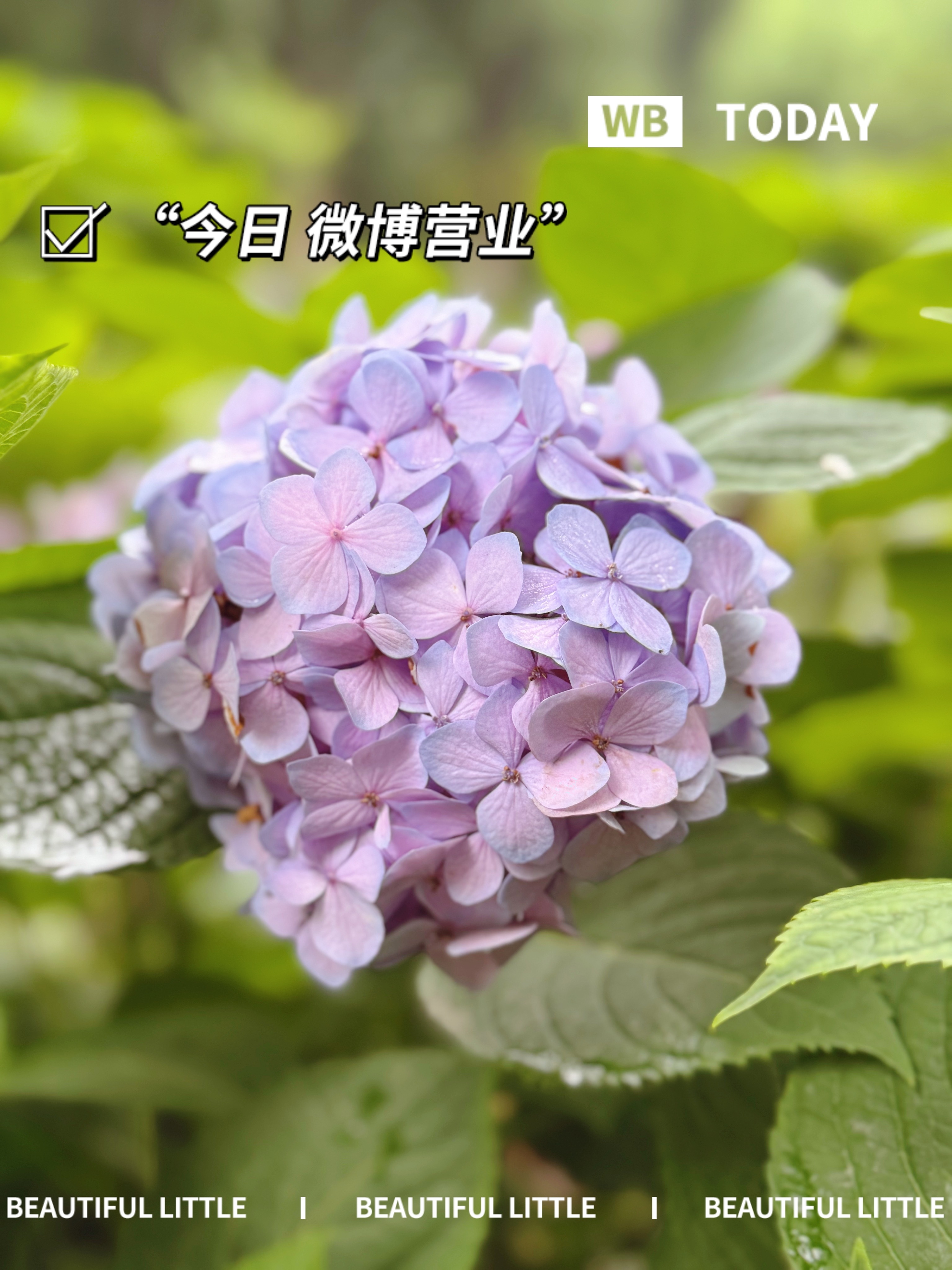 心态好，万事顺，心情亮，处处畅，笑容是最灵验的幸运符，愿今日：心情敞亮，好运相伴