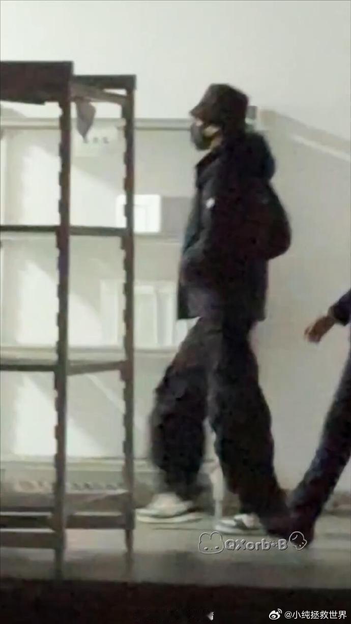 大侦探首发阵容大侦探大侦探11 盼了好久的熟面孔齐聚！何炅控场稳如泰山，张若昀魏