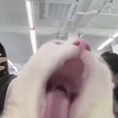 分享图片 