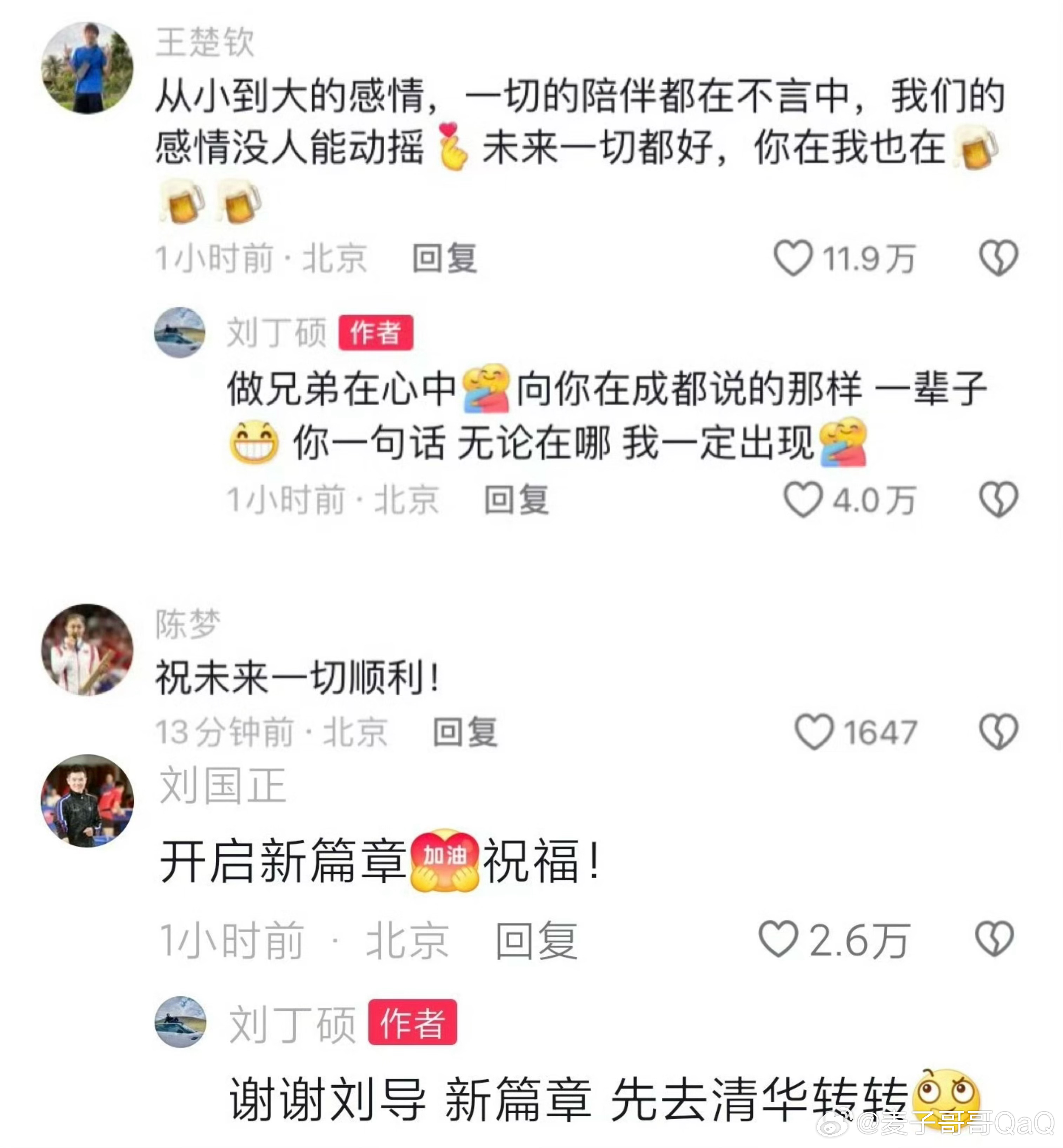 #刘丁硕退出国家队#刘丁硕退出国家队，王楚钦、林诗栋、梁靖崑、陈梦、陈幸同、王艺