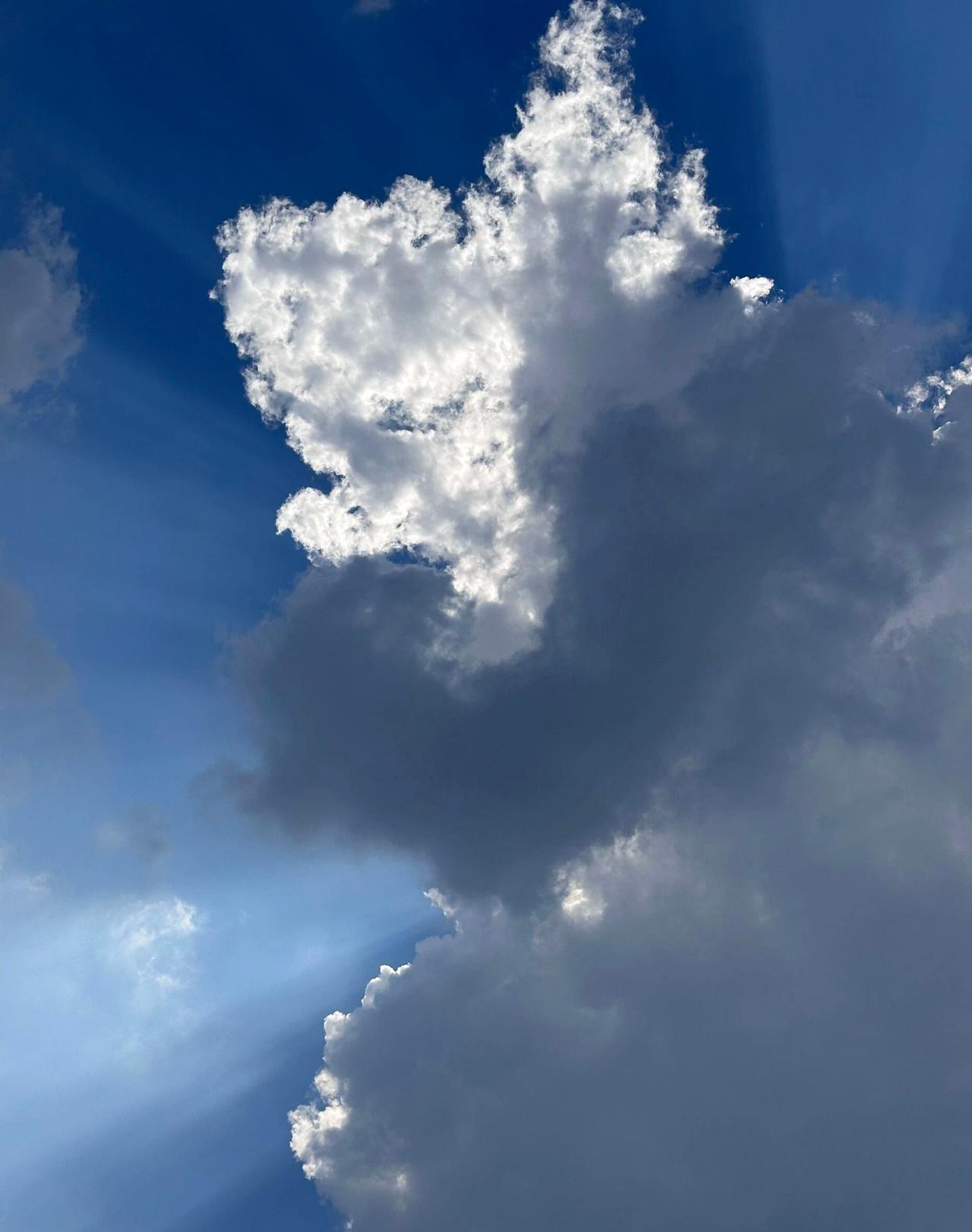 西安暴雨1️⃣出门是这样
2️⃣忙完赶回家是这样
3️⃣第一波暴雨下完是这样
4