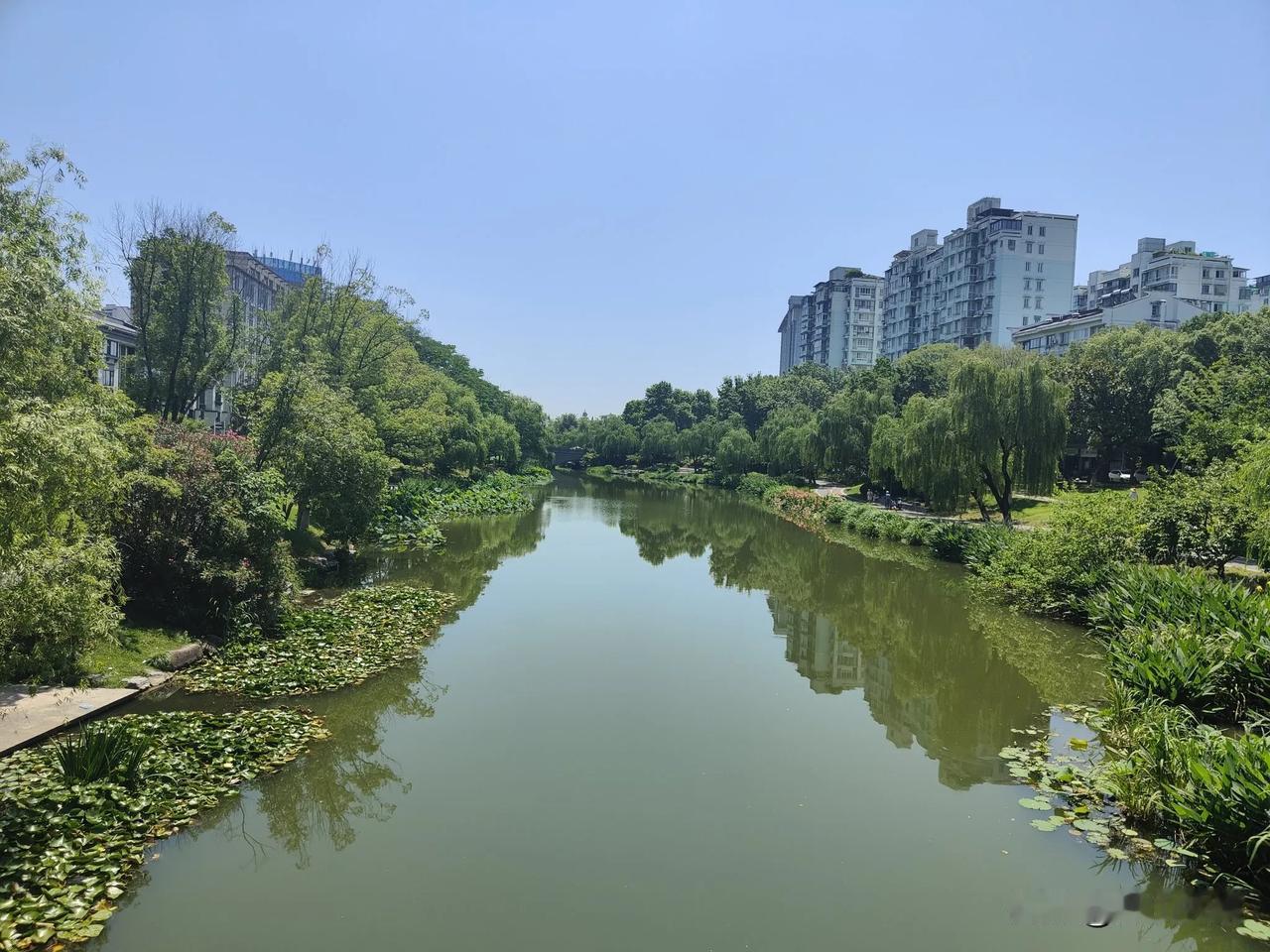 “仰天大笑出门去，我辈岂是蓬蒿人。”‌ 李白的这句诗表达了他自信与洒脱的态度，鼓