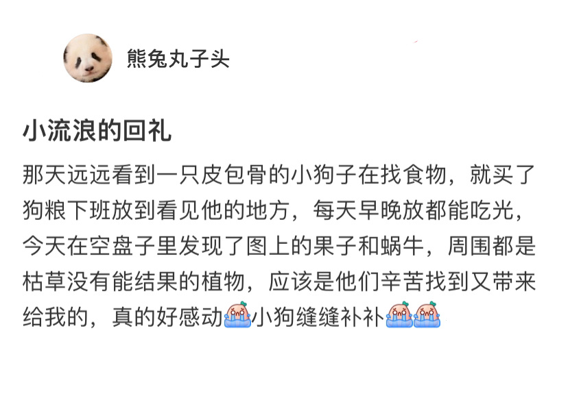 收到了流浪小狗的回礼[悲伤]永远会被狗狗的真诚所打动 ​​​