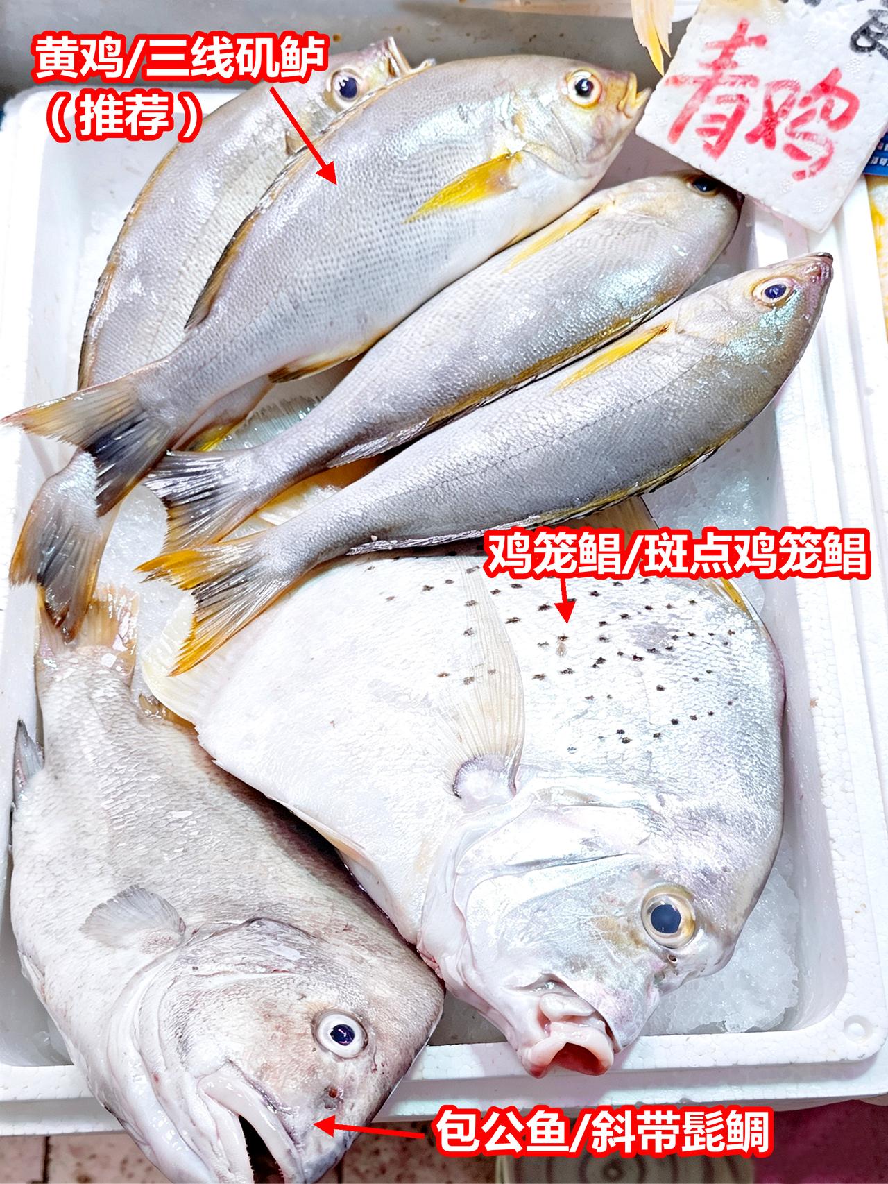 1、黄鸡/三线矶鲈，
2、鸡笼鲳/斑点鸡笼鲳，
3、包公鱼/斜带髭鲷。

海鲜 