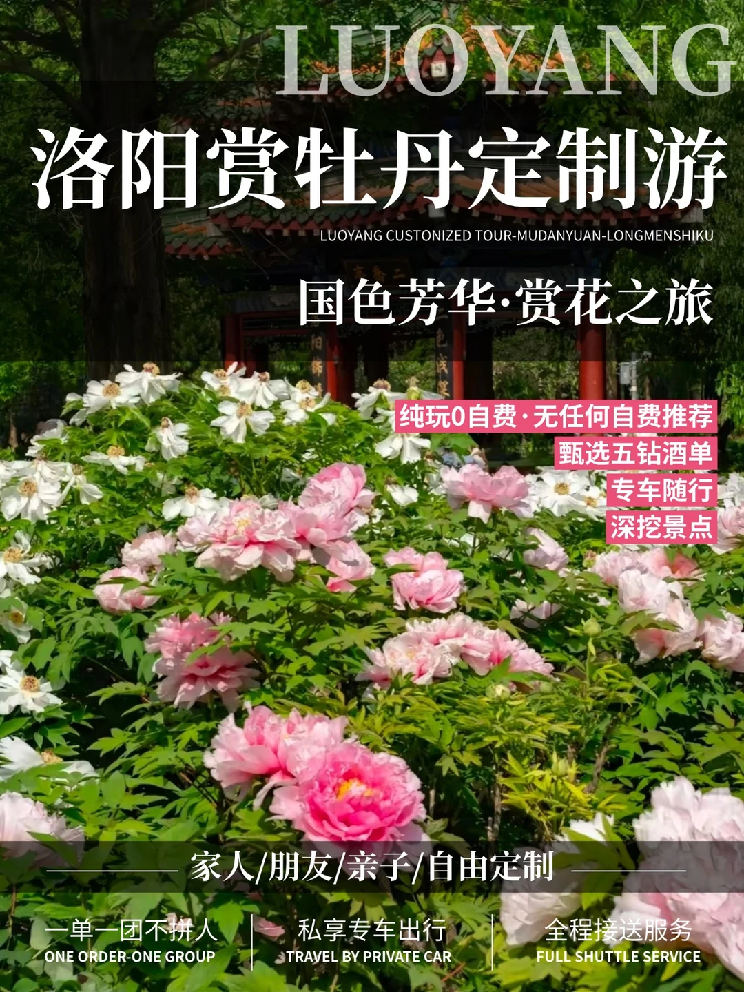 洛阳定制游·一单一团‼️ 藏在古都里的春日
