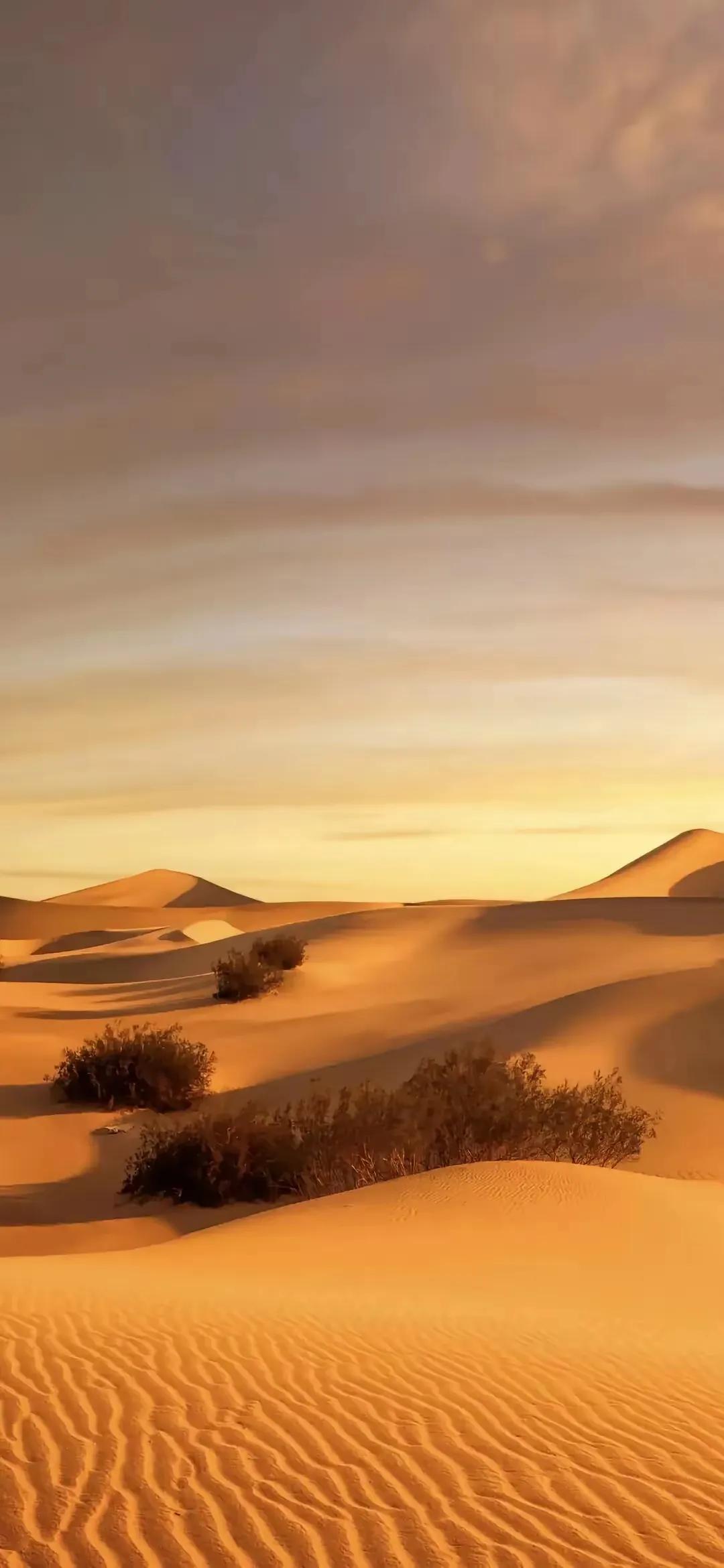 最体面的一句话:

“无论对方是谁，只要对方冷漠，你就不要热情，只要对方疏远你，