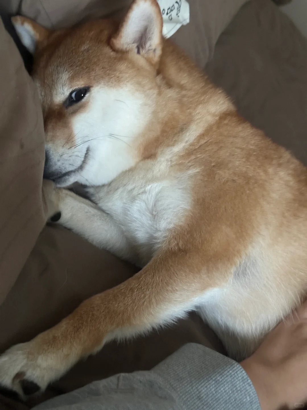 不是 你这小眼神什么意思？？