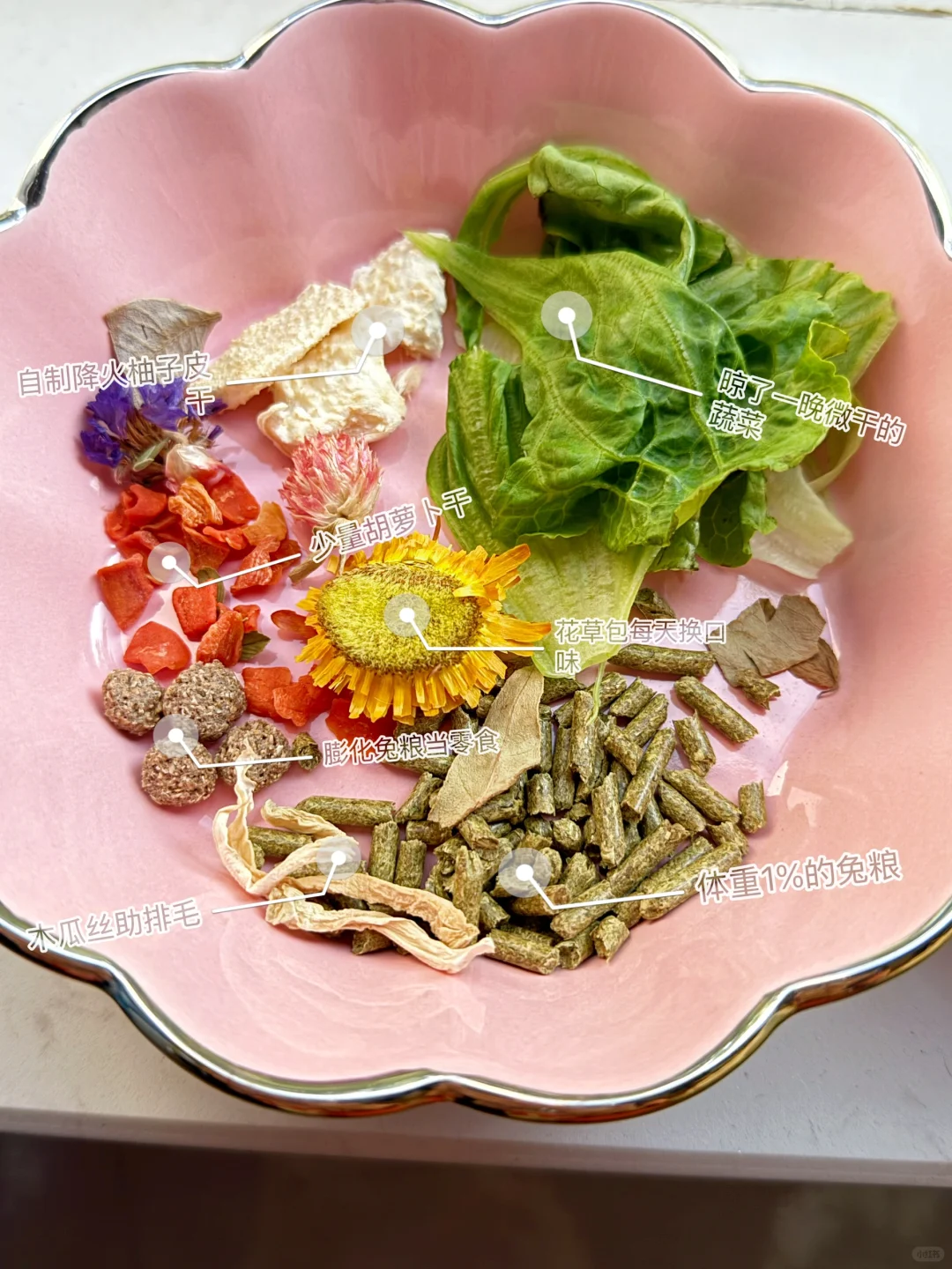 看看大家的兔每天吃什么