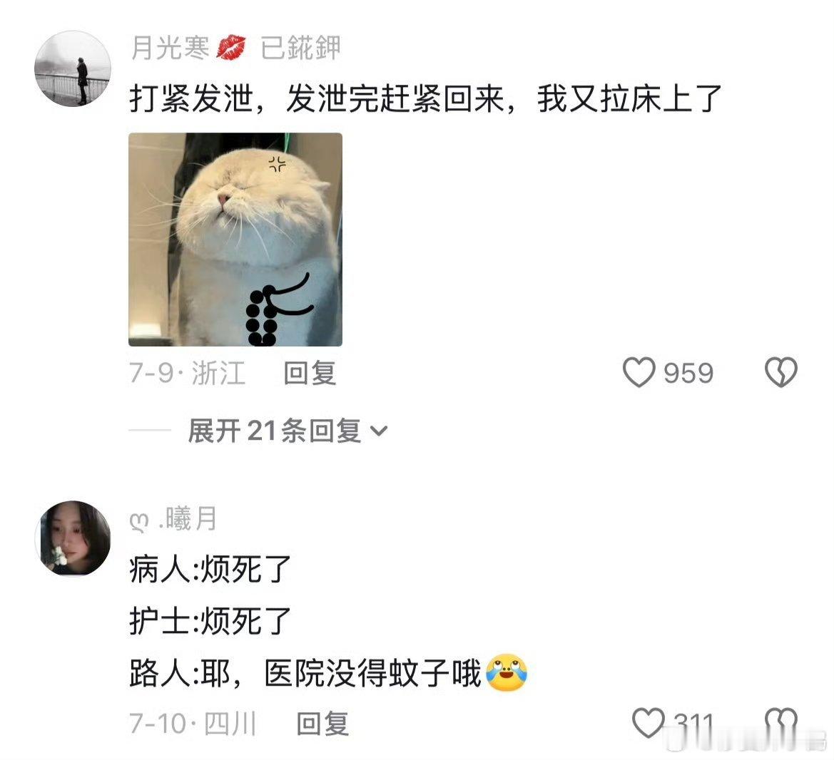 蚊子 大家都是抽血的差不多得了蚊子:“我抽血，但是我不希望被你们抽 " ​​​
