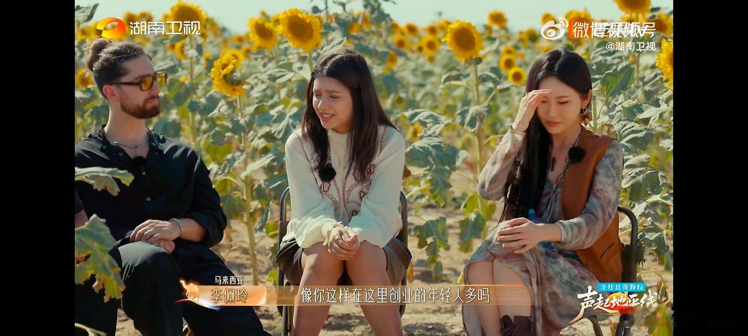 新疆新农人种地种到了哈萨克斯坦声起地平线从棉田到稻田再到向日葵花田，每一寸土地都