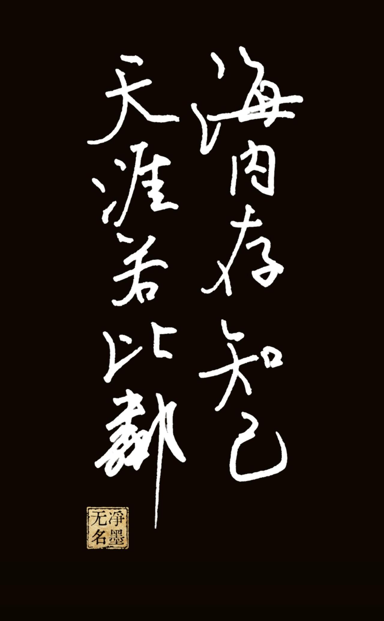 钢笔书写
一、文字内容
正文：海内存知己，天涯若比邻
落款印章文字：净墨无名
二