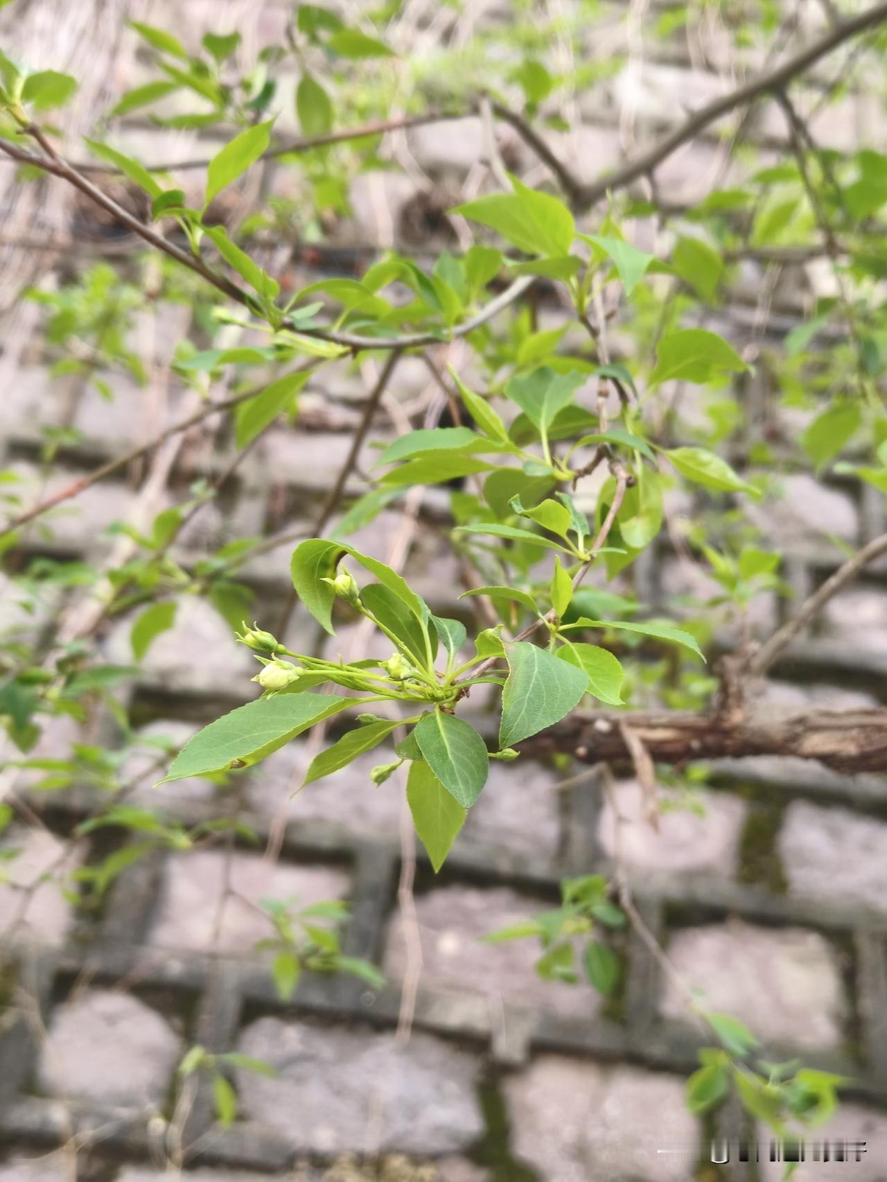比亚迪的汽车很多，我相对喜欢方程豹的车型，女生一般先看颜值，我很喜欢方盒子的车型