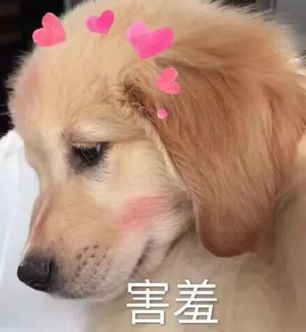 “ 将喜欢的一切留在身边，这便是努力的意义。” 
