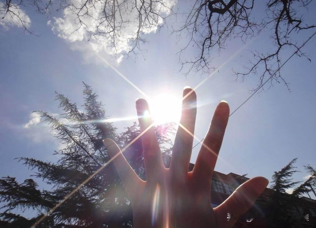 把自己的生活安排布置进行起来，有好处。
放弃这种自己安排布置生活的需求。难免会掉