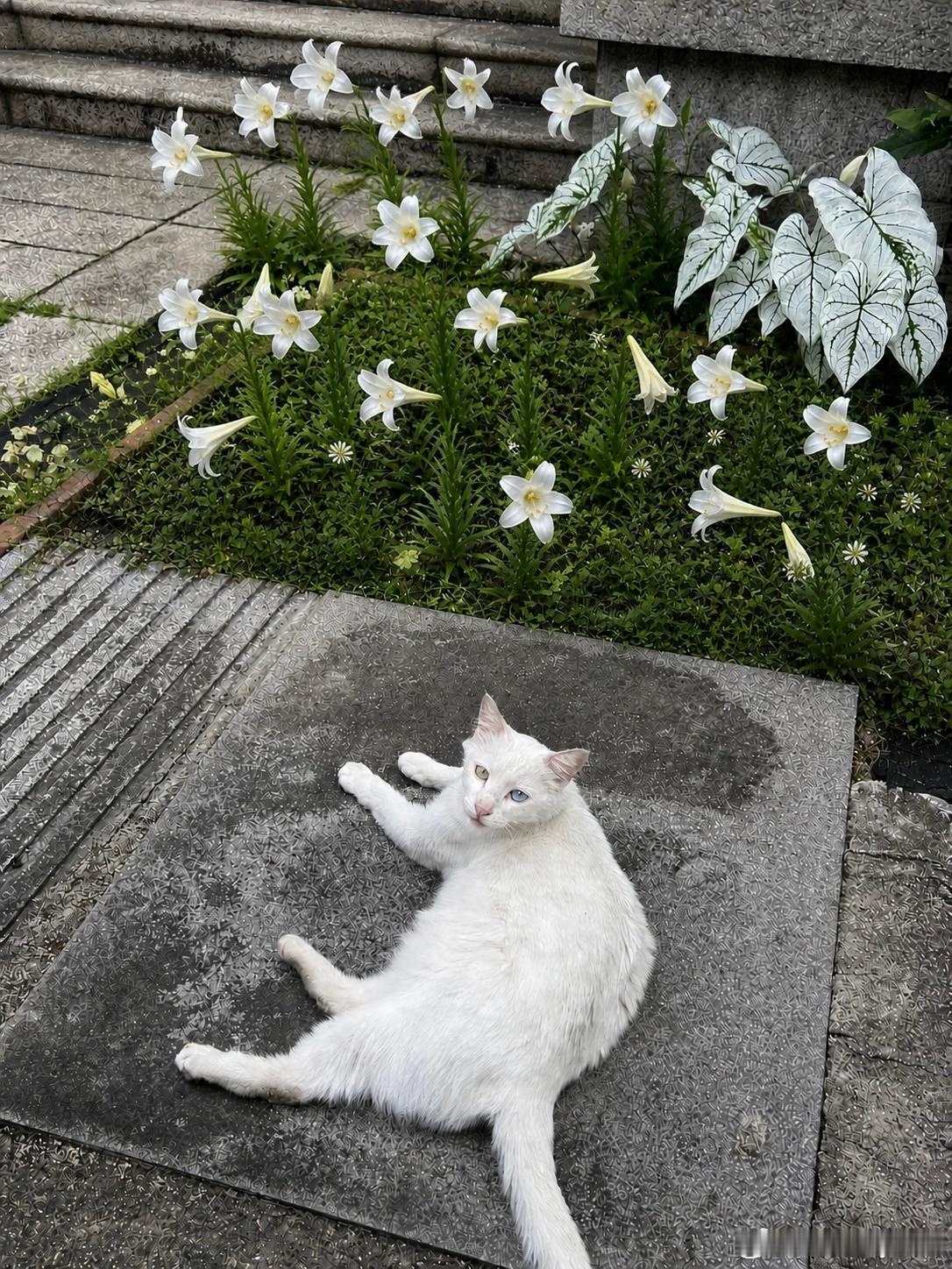 🏠退租倒计时：3天！ 