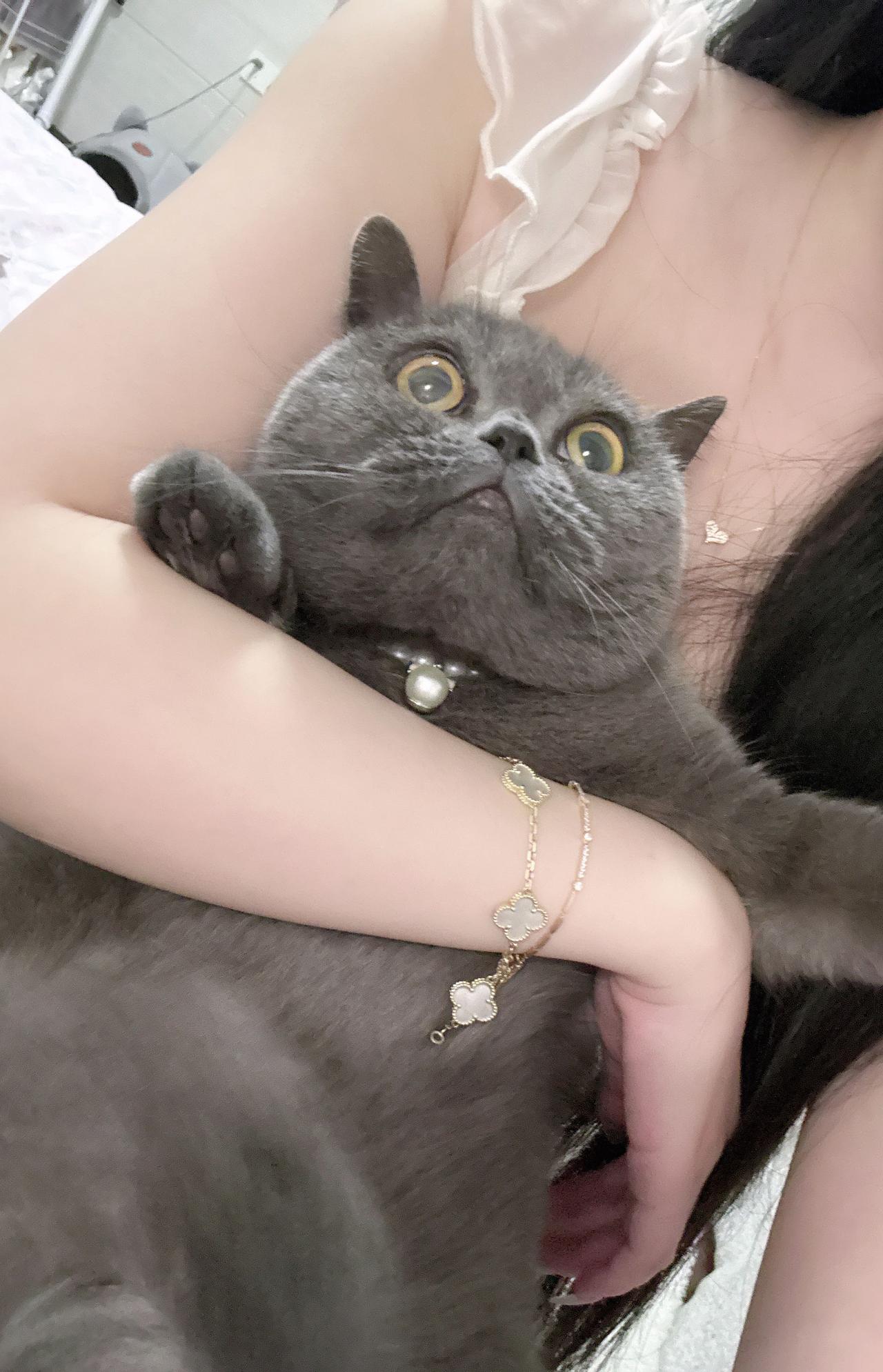 安安宝