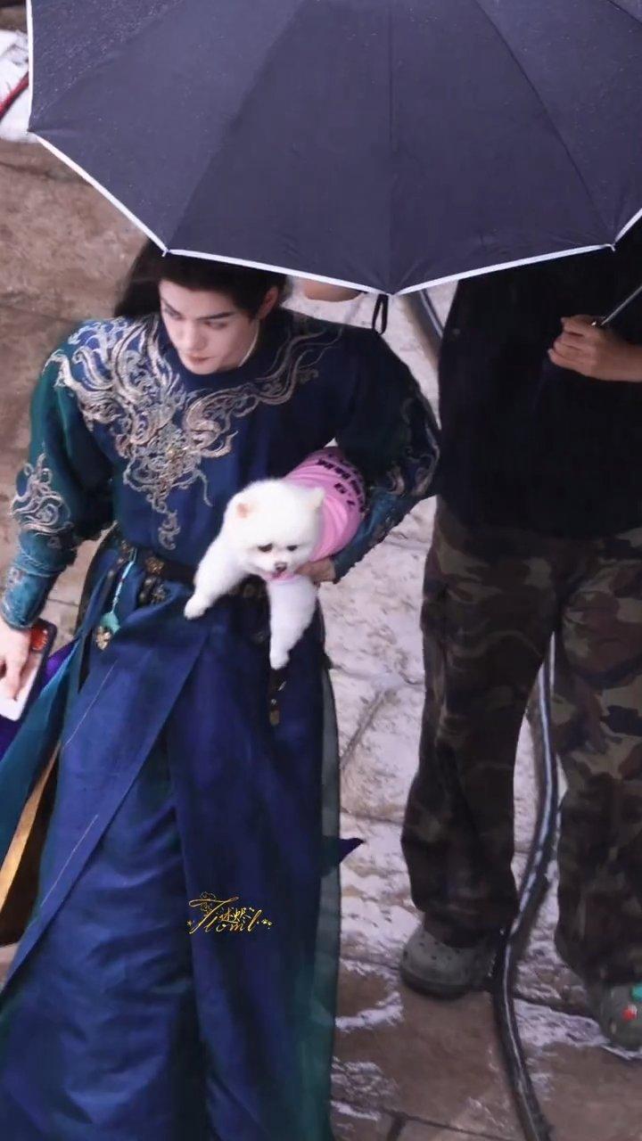 孟子义孟子义的狗探班曾舜晞孟子义的狗巧克力剧宣到了曾舜晞剧组 巧克力我呀，替主人