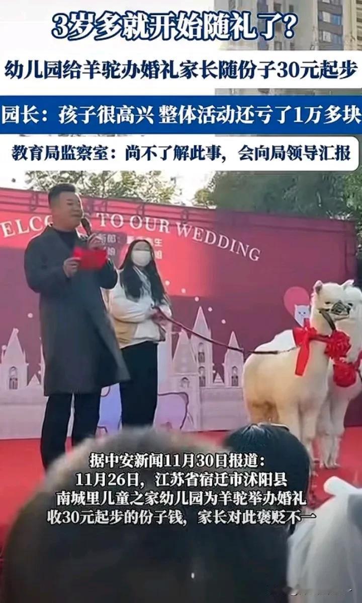 幼儿园给一对  ”羊驼”举办了隆重婚礼，引起家长们褒贬不一！

网传11月30日