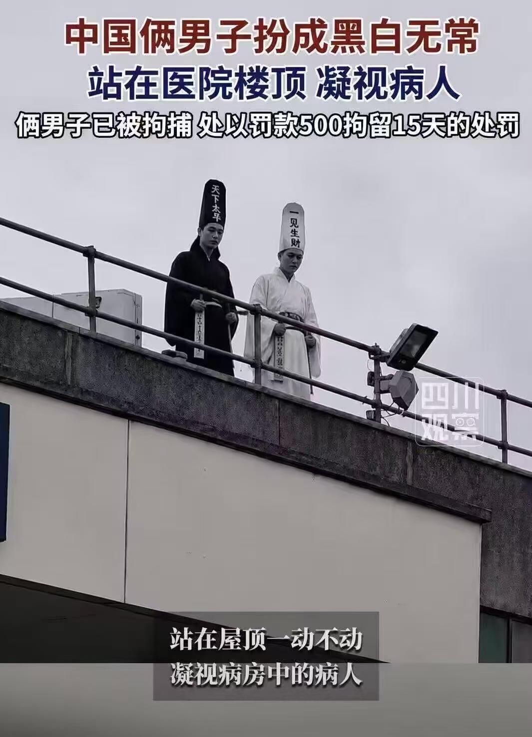 为了起号？ 