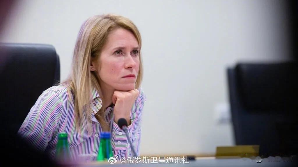 欧盟军力不行，嘴炮蛮厉害！欧盟外长卡拉斯给俄罗斯开出了“和谈”的价码：一、俄罗斯