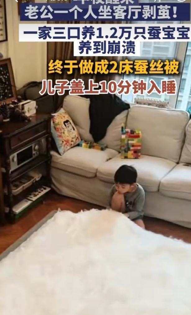 男子耗时17天用蚕茧做蚕丝被，这耐心和毅力简直绝了！想象一下，17天里每天都和蚕