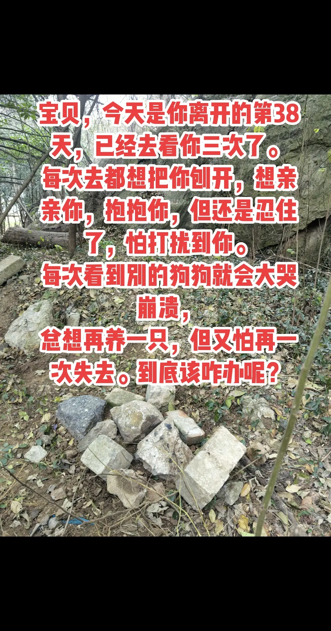 豆豆我的宝贝！